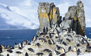 38729_Antarctica-Slide